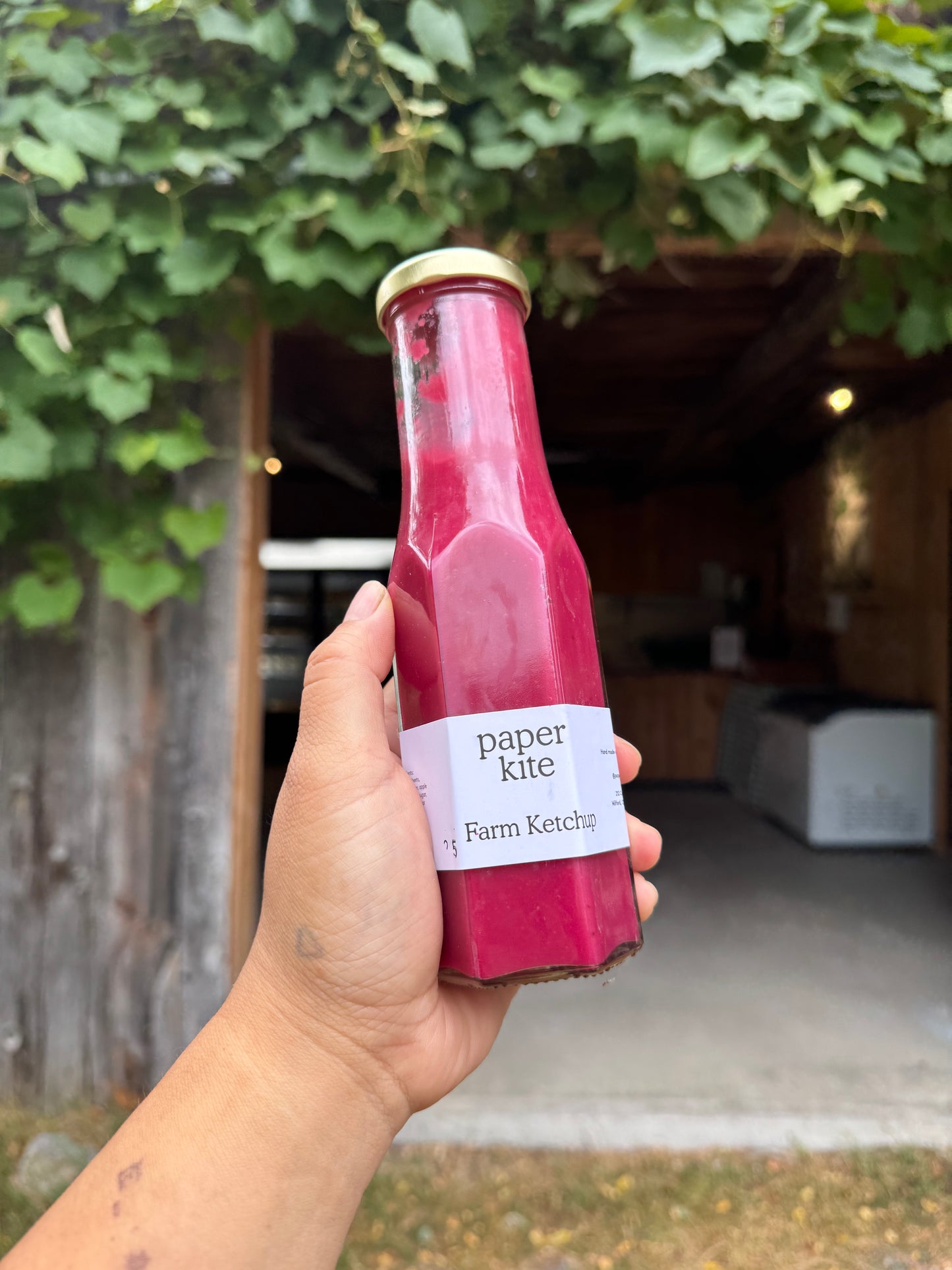 Farm Ketchup