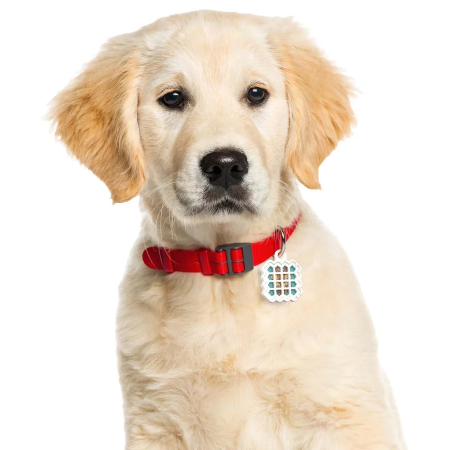 NATPAT Flea Prevention Stickers: Natural Pet Care Patches