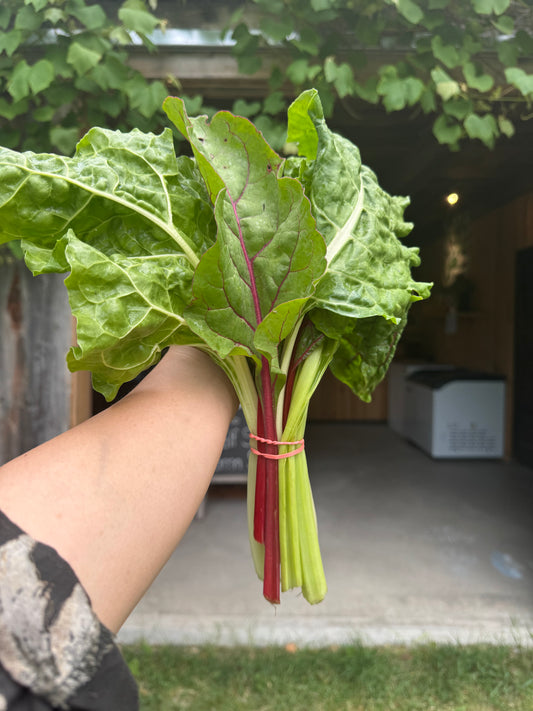 Chard