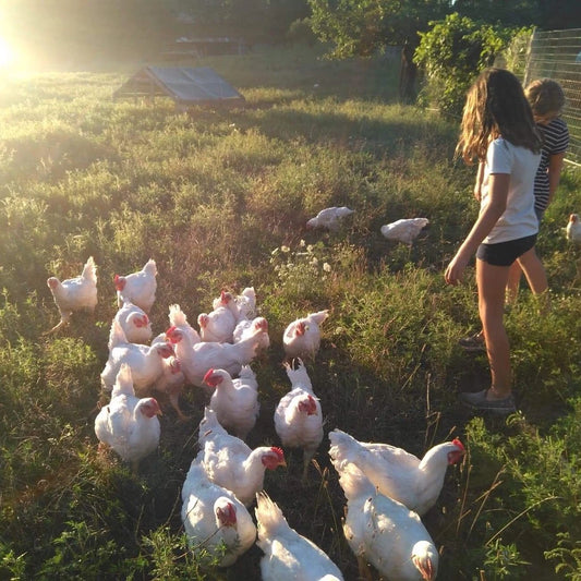 Day Camp - July 20 - 24