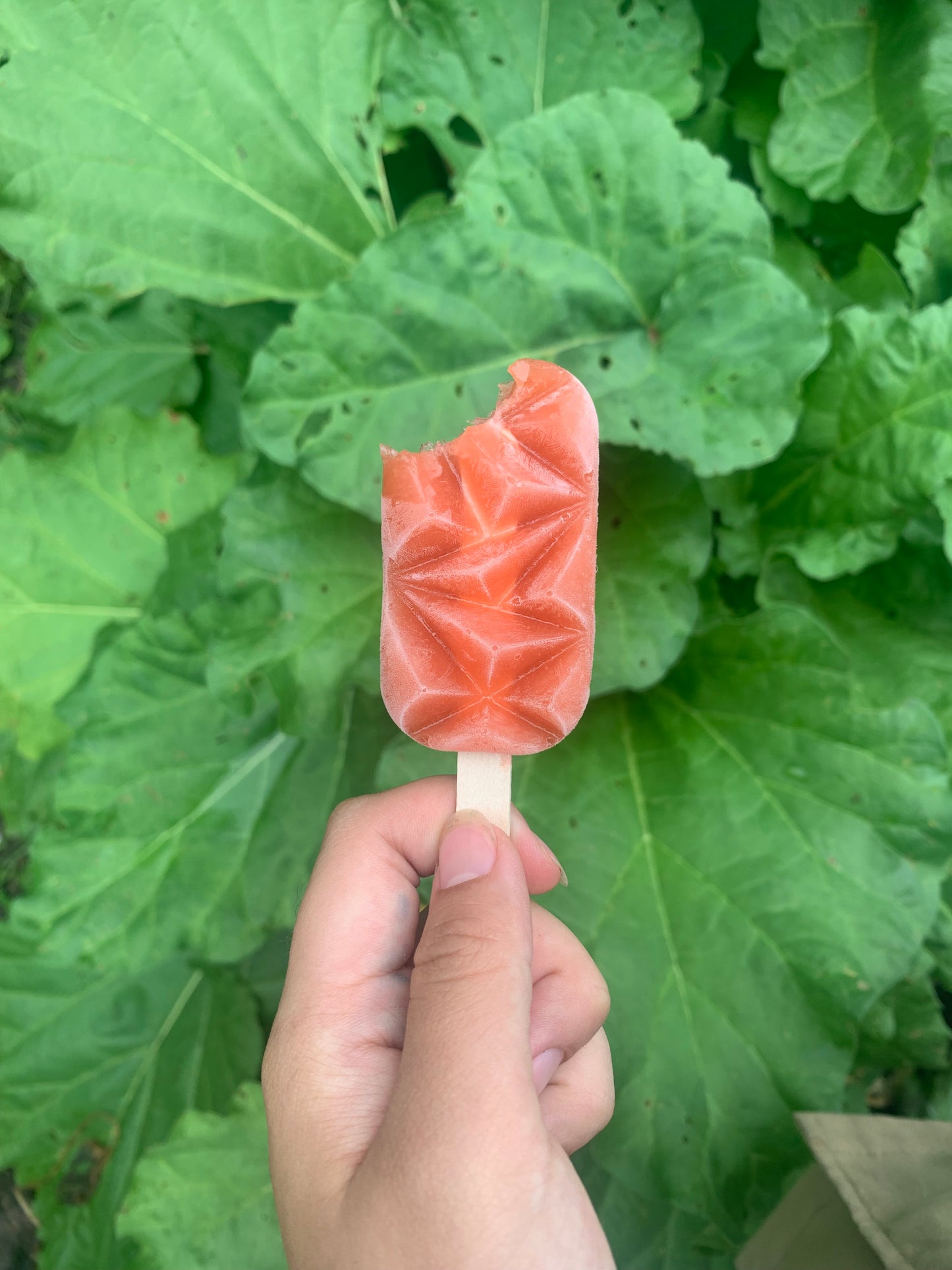 Strawberry-Rhubarb Popsicle