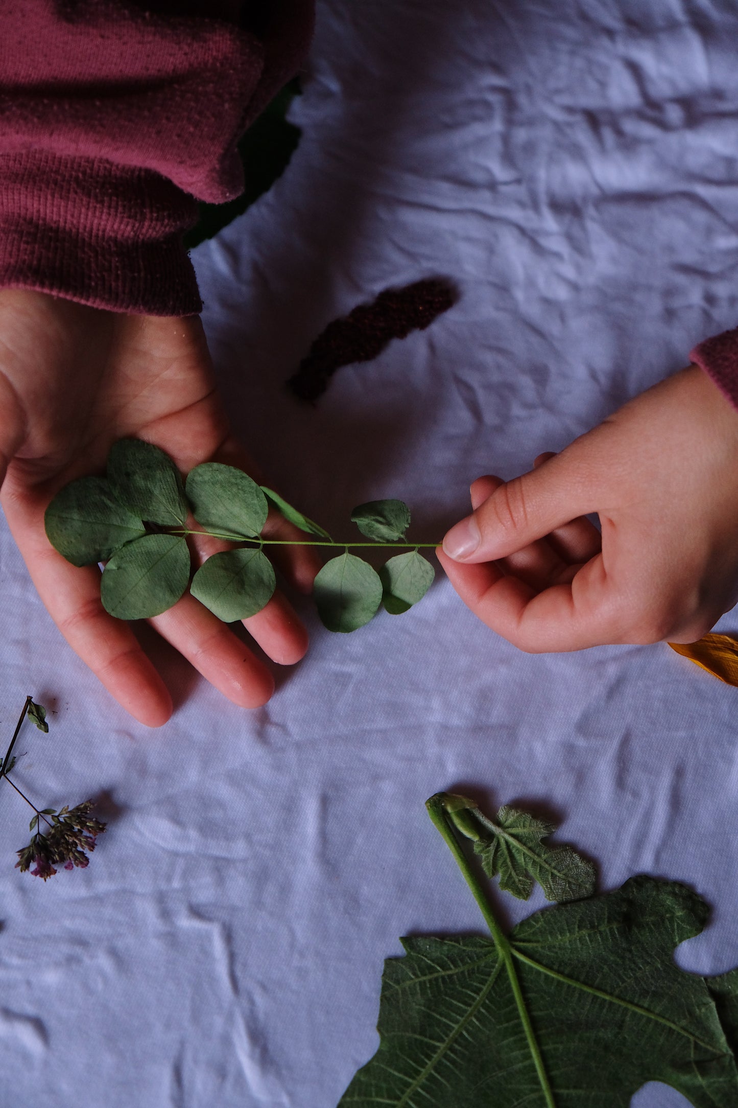 Day Camp - July 27 - 31