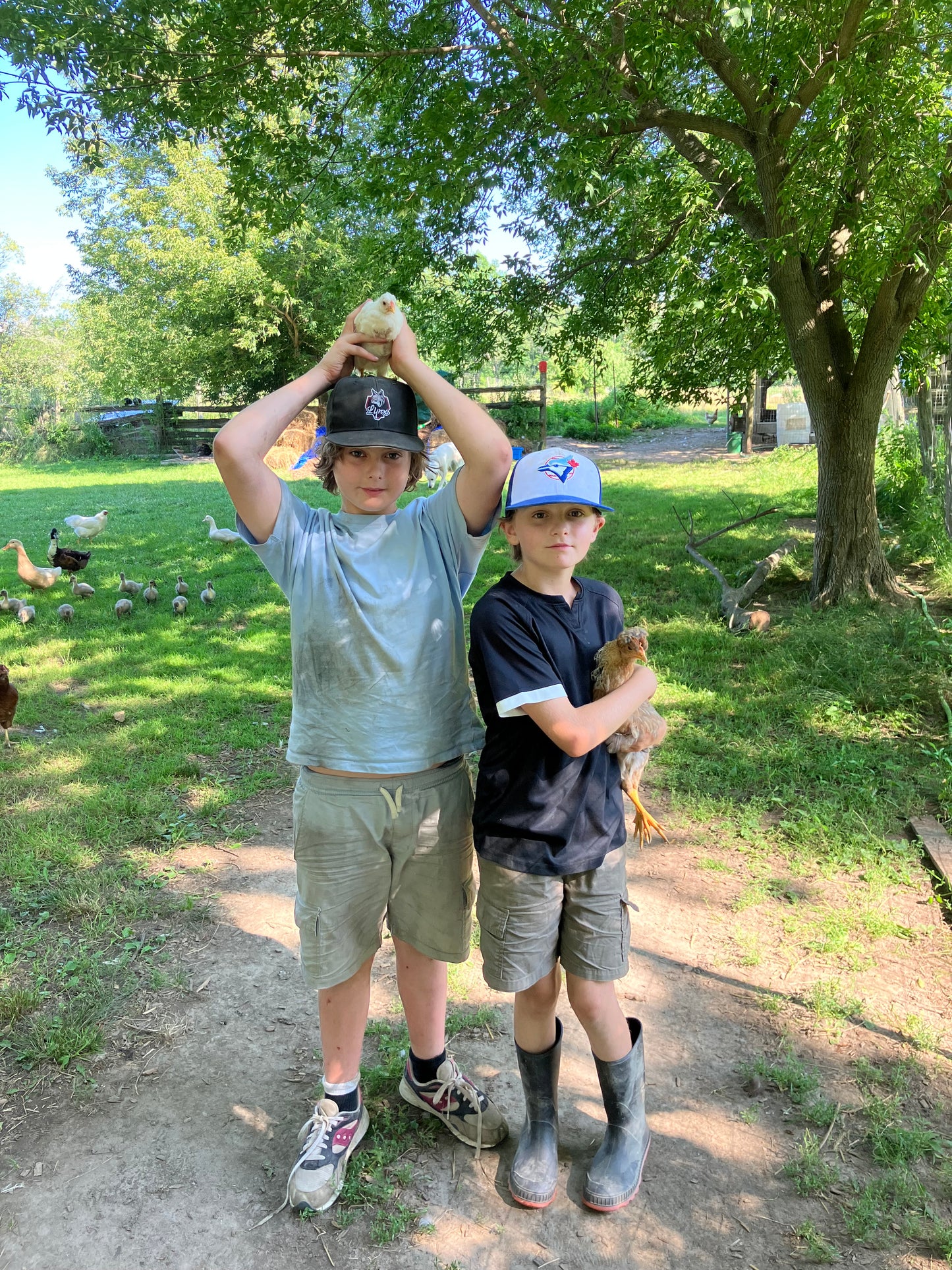 Paper Kite Day Camp - Ages 5 - 12