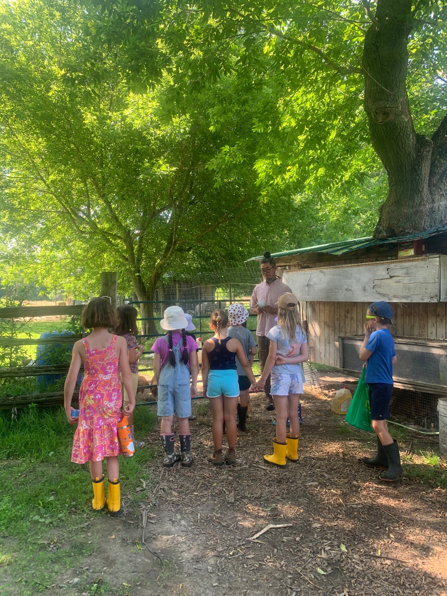 Paper Kite Day Camp - Ages 5 - 12