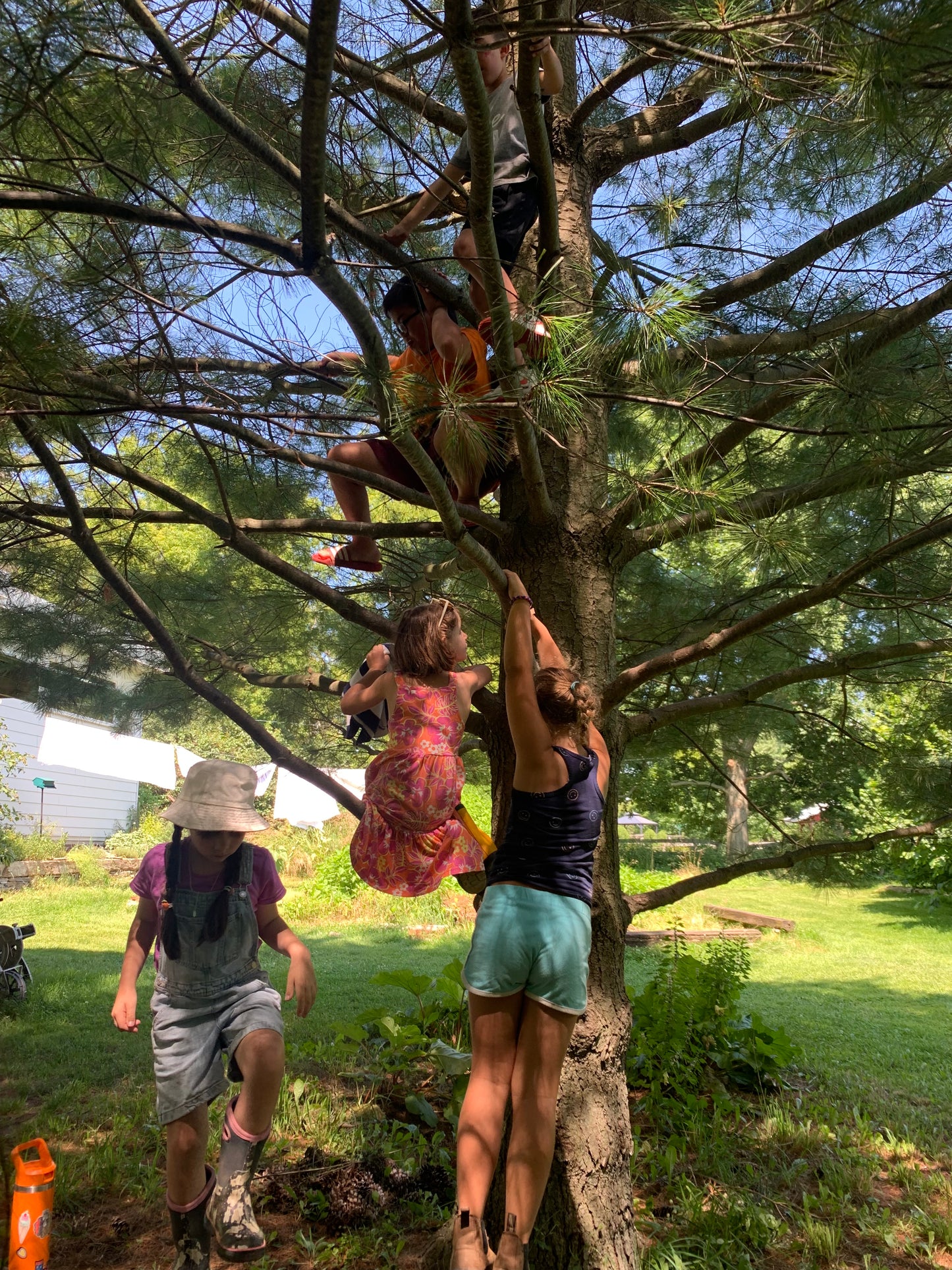 Paper Kite Day Camp - Ages 5 - 12