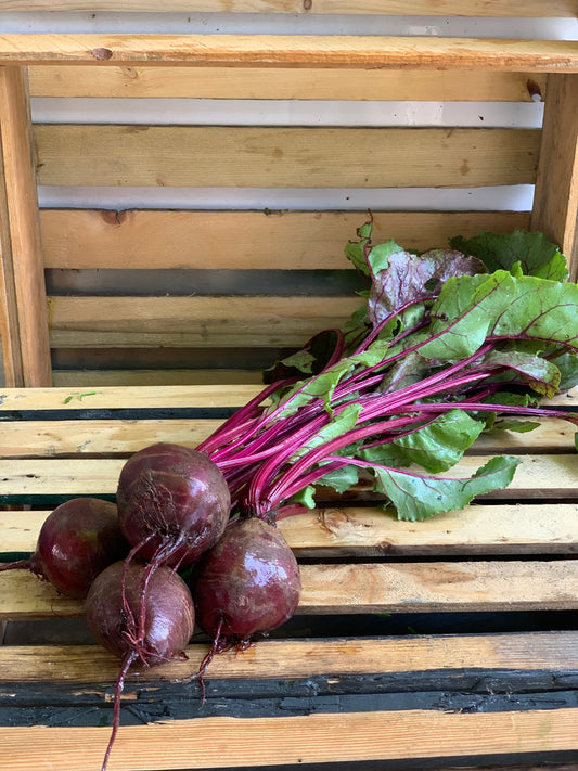 Beets - Red