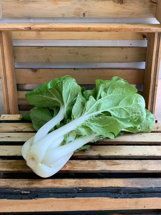 Bok Choy - White