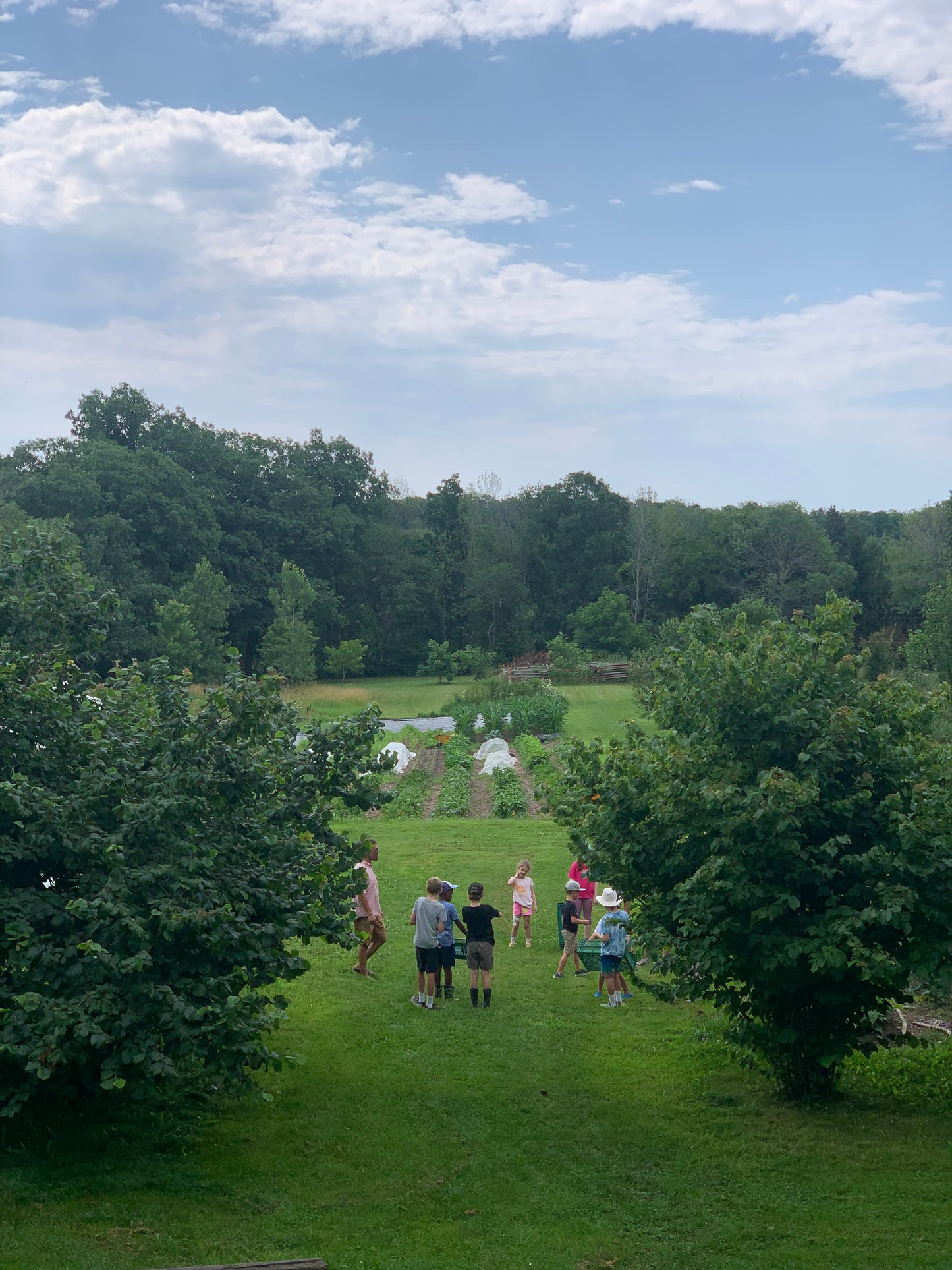 Paper Kite Day Camp - Ages 5 - 12