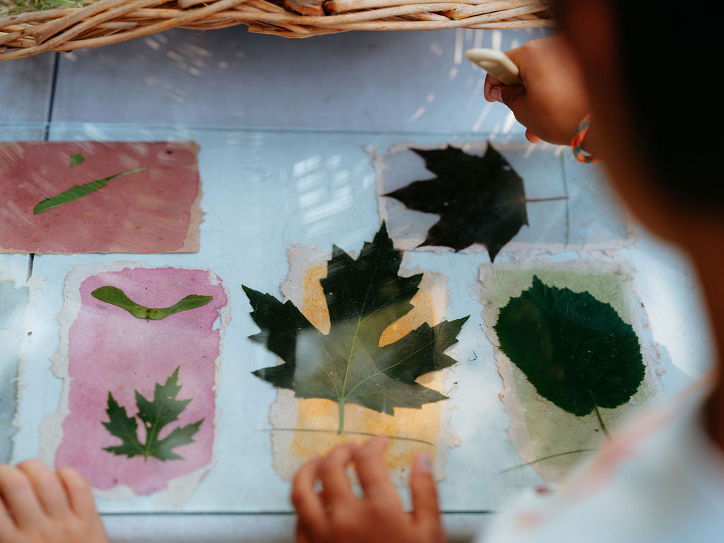 Paper Kite Day Camp - Ages 5 - 12