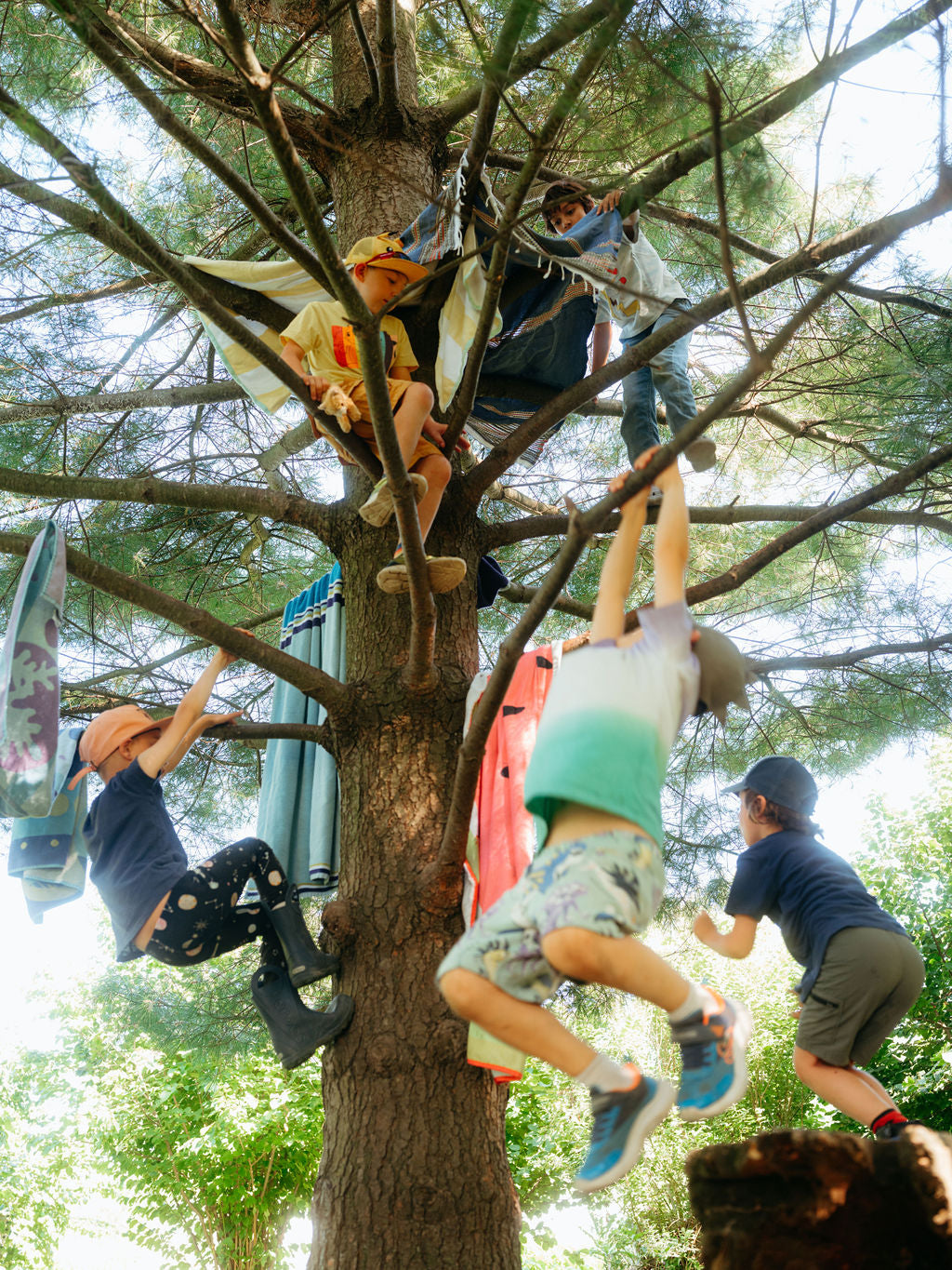 Paper Kite Day Camp - Ages 5 - 12